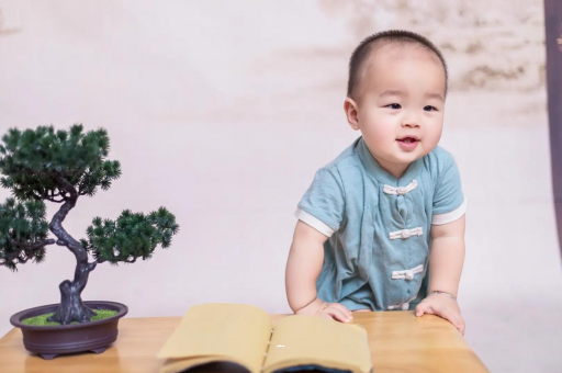 正定可爱的企鹅宝宝